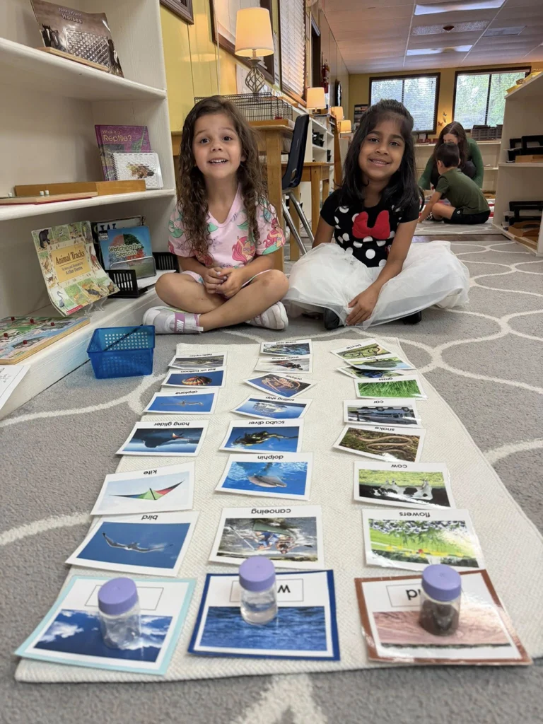 Two Montessori students working with picture sorting cards on a classroom rug