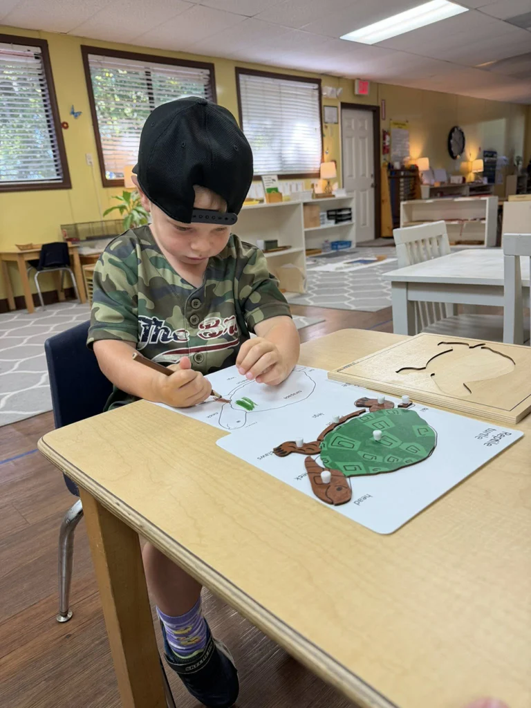 Child completing a turtle-themed classroom activity at a Montessori table