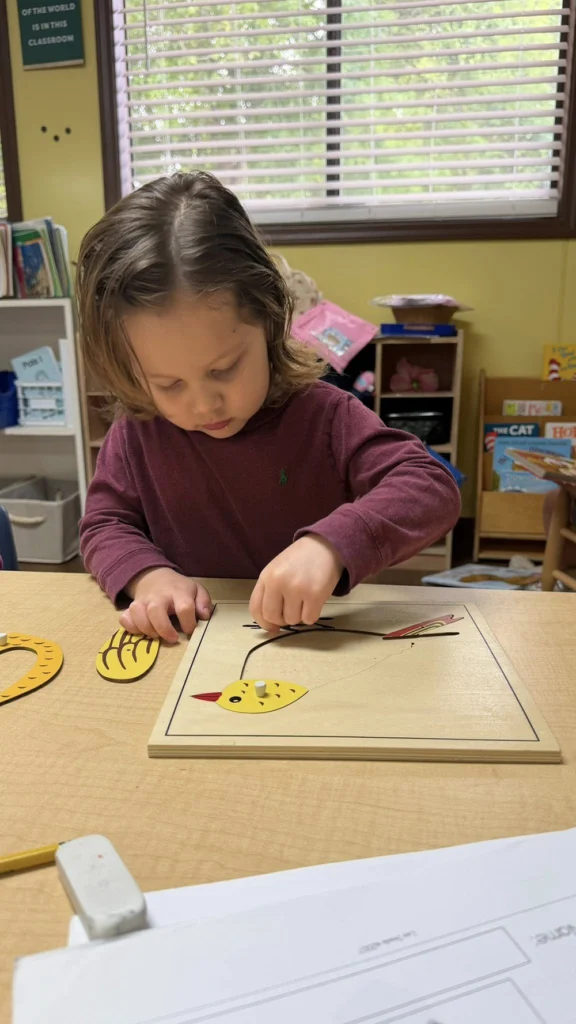 Child placing pieces into a bird puzzle during a Montessori classroom activity