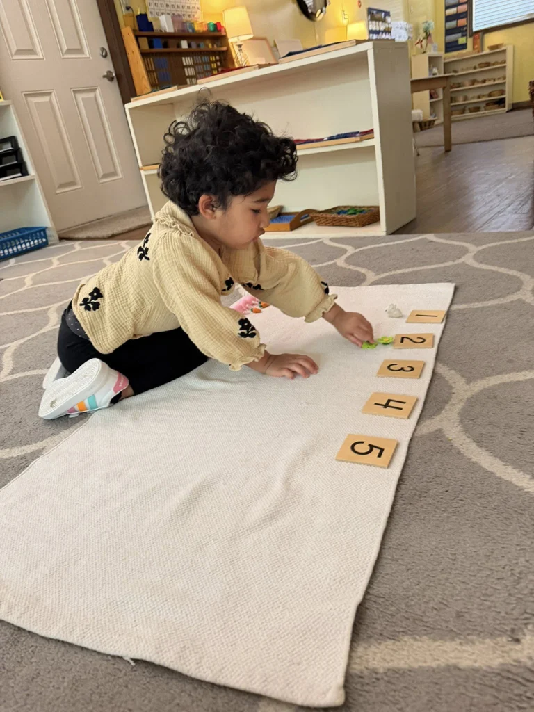 Child matching small objects with number cards on a classroom mat