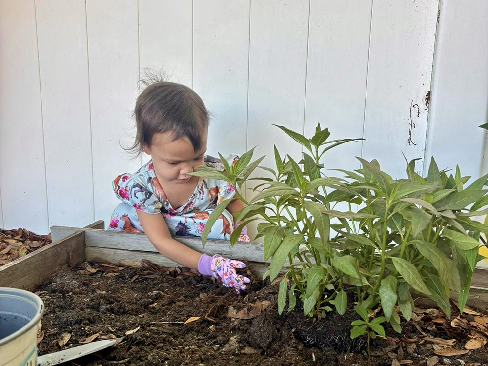 A child gardening at a Montessori school's Beginning Montessori program.