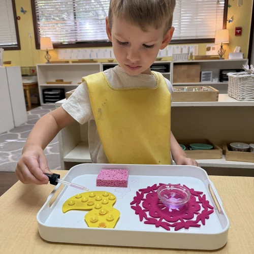 Child using a dropper during a hands-on Montessori practical life activity